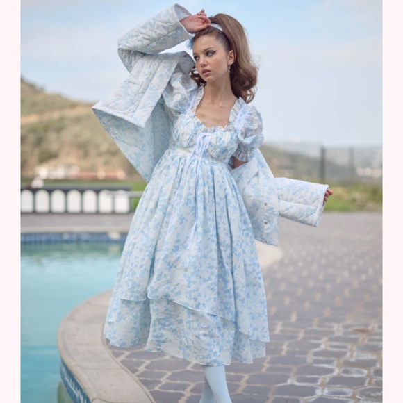 Selkie The Hydrangea Ever After Dress XS EUC - Picture 1 of 6